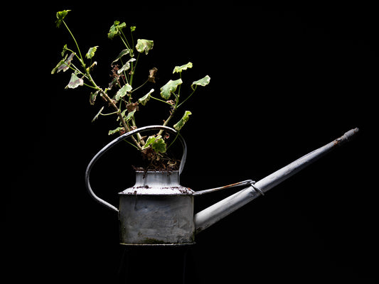 Fred's Watering Can